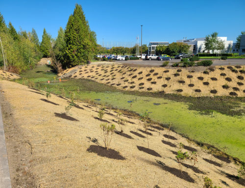 TOK America – Stormwater pond