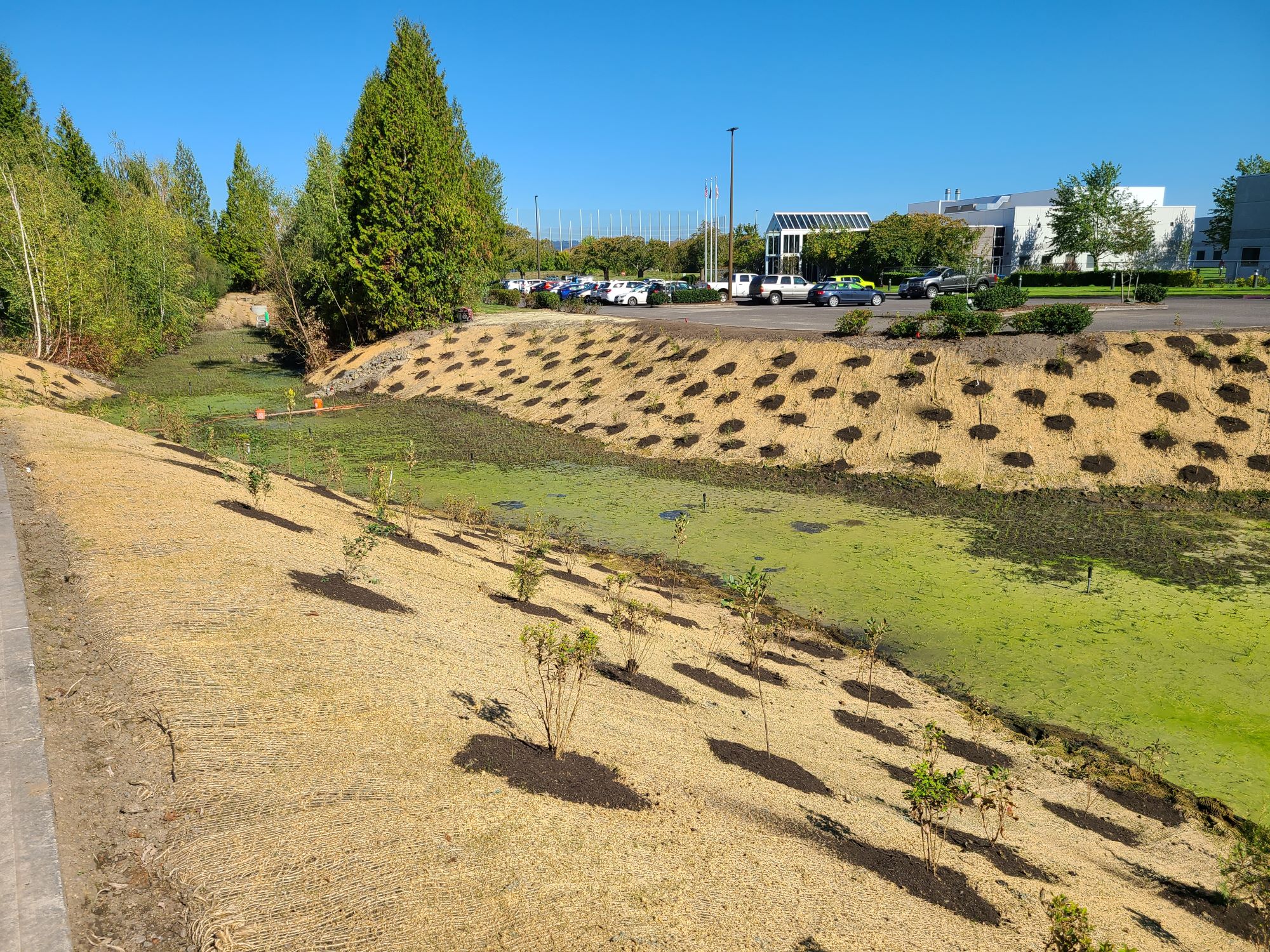 TOK America stormwater pond