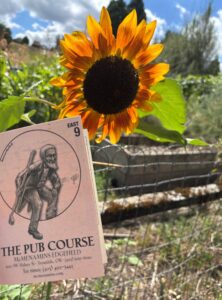 Golf Scorecard and sunflower